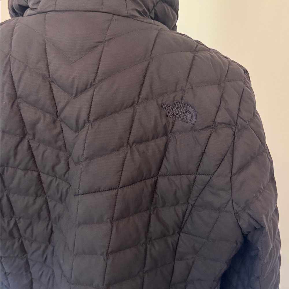 The North Face ThermoBall PrimaLoft Hooded Parka - Picture 3 of 7